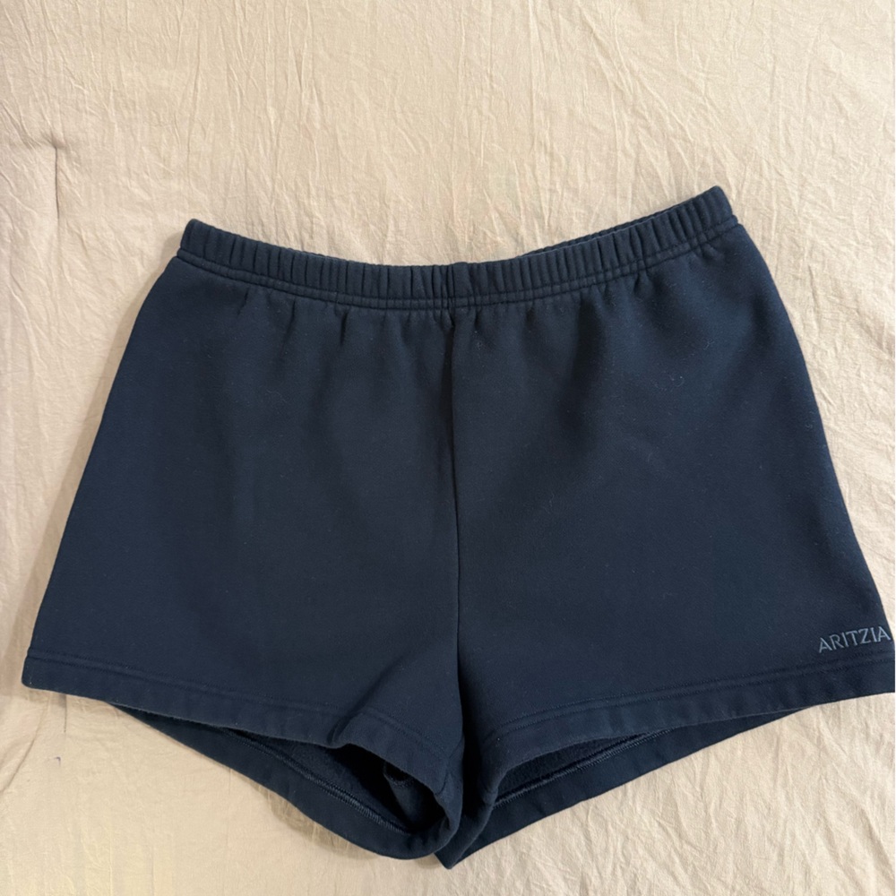 Aritzia Dark Sweatpants